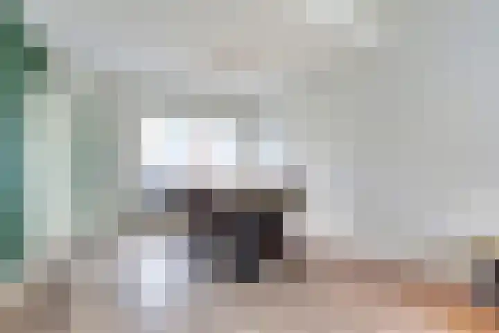 Ericastraat 32 Bladel thumbnail 5