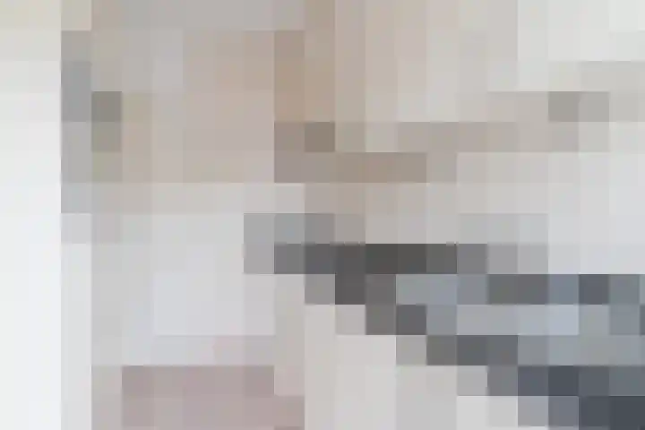 Ericastraat 32 Bladel thumbnail 7