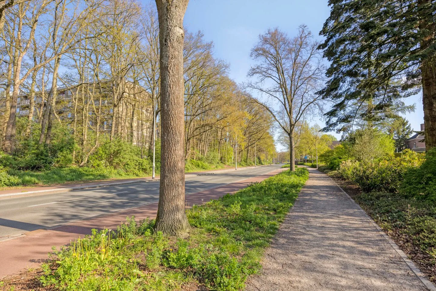 Ericastraat 32 Roosendaal thumbnail 48