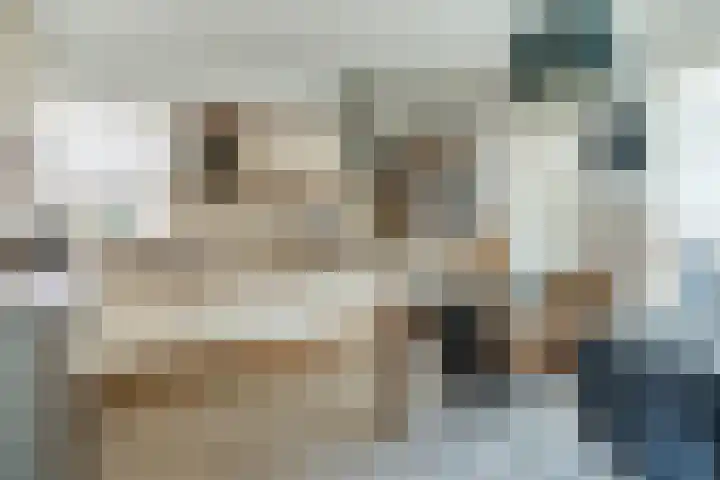 Ericastraat 35 Veghel thumbnail 15