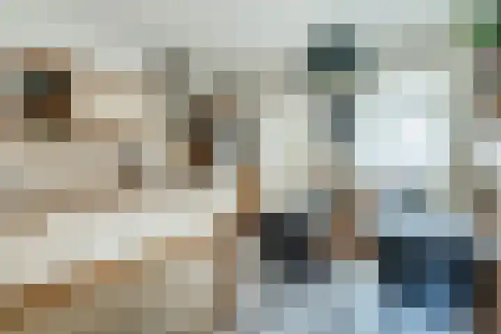 Ericastraat 35 Veghel thumbnail 16