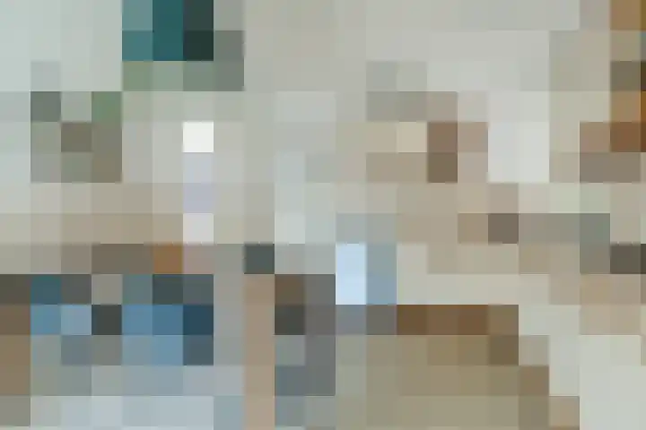 Ericastraat 35 Veghel thumbnail 17