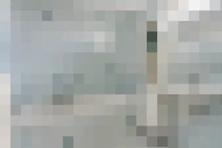 Ericastraat 35 Veghel thumbnail 22