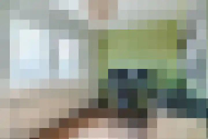 Ericastraat 35 Veghel thumbnail 27