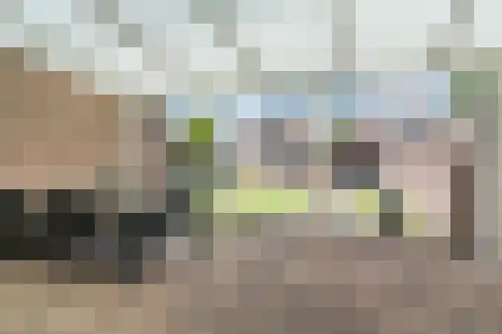 Ericastraat 35 Veghel thumbnail 38