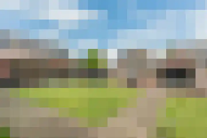 Ericastraat 35 Veghel thumbnail 39