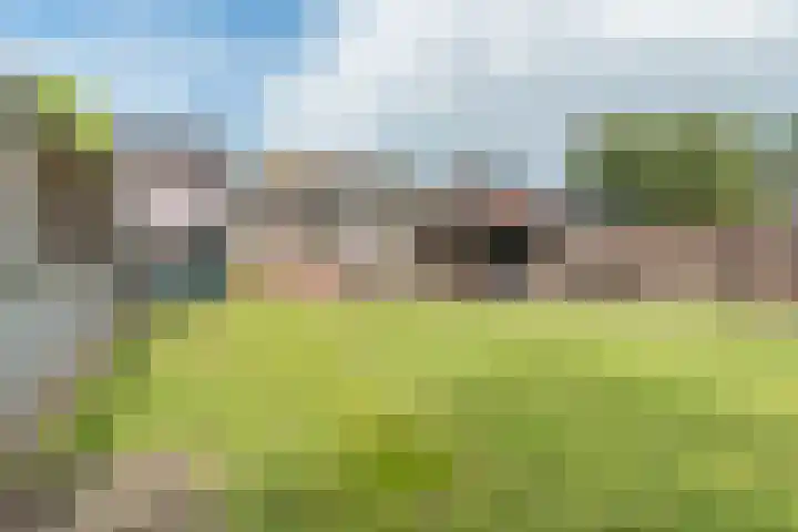 Ericastraat 35 Veghel thumbnail 40