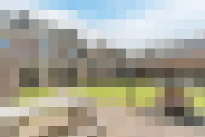 Ericastraat 35 Veghel thumbnail 41