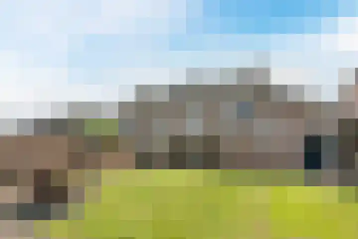 Ericastraat 35 Veghel thumbnail 42