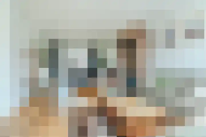 Ericastraat 35 Veghel thumbnail 9