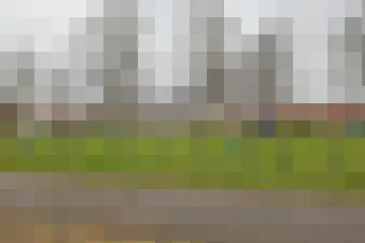 Ericastraat 40 Sittard thumbnail 25