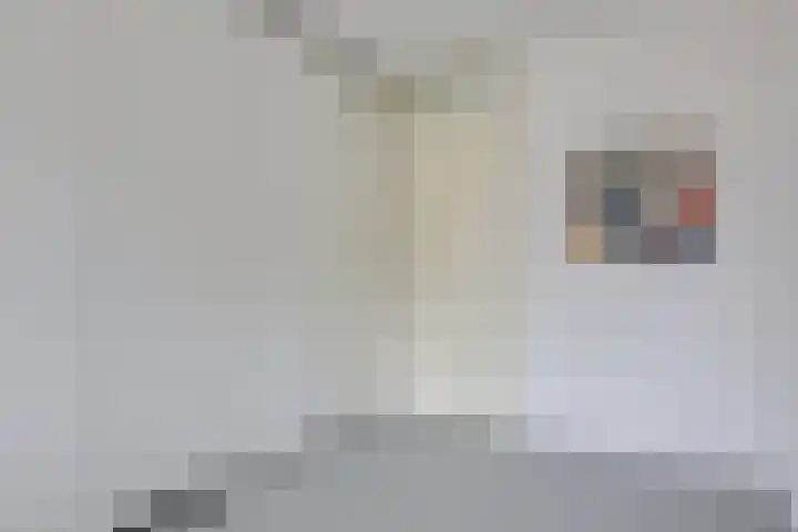 Ericastraat 40 Sittard thumbnail 9