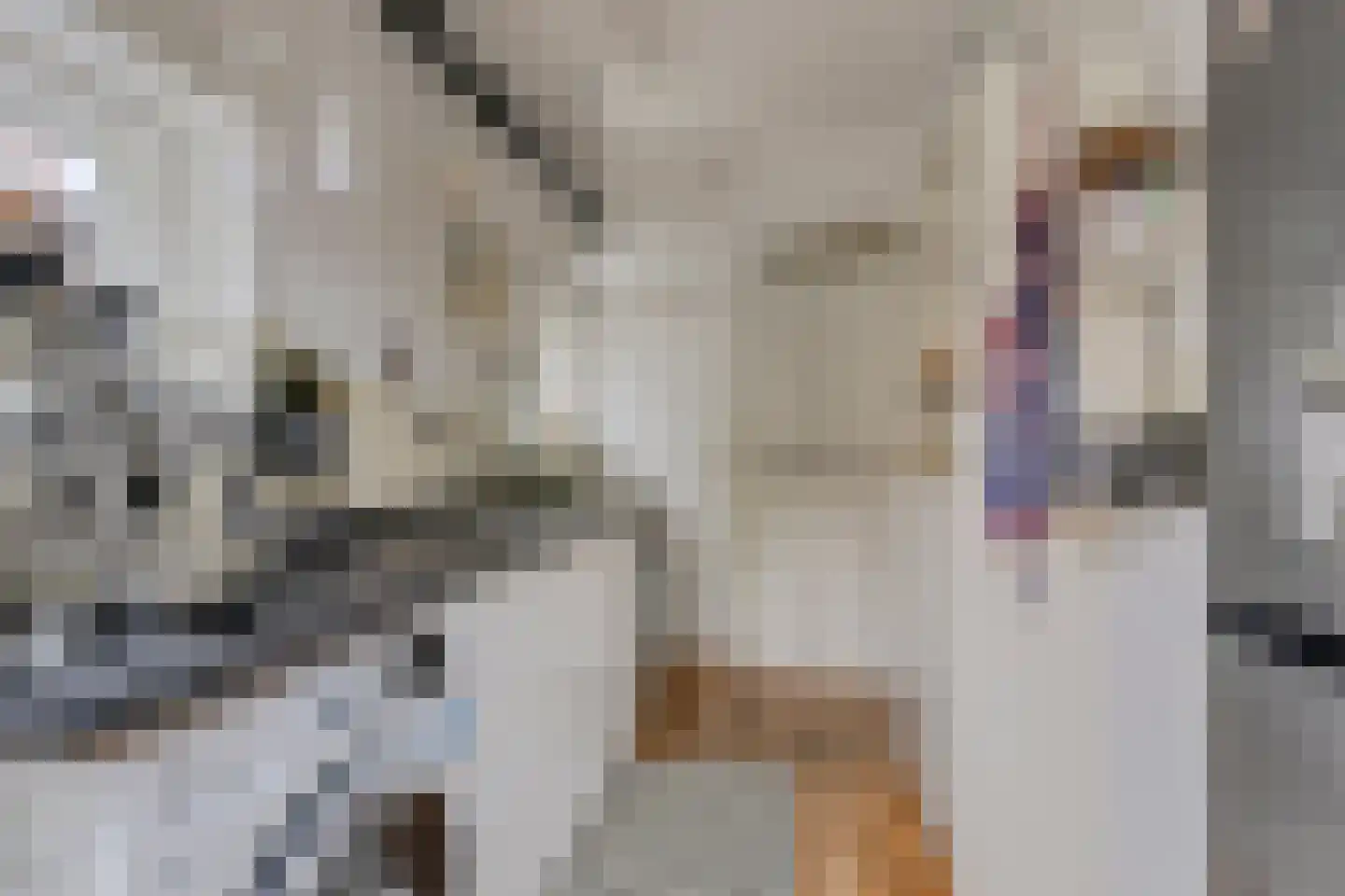 Ericastraat 43 Hilversum thumbnail 11