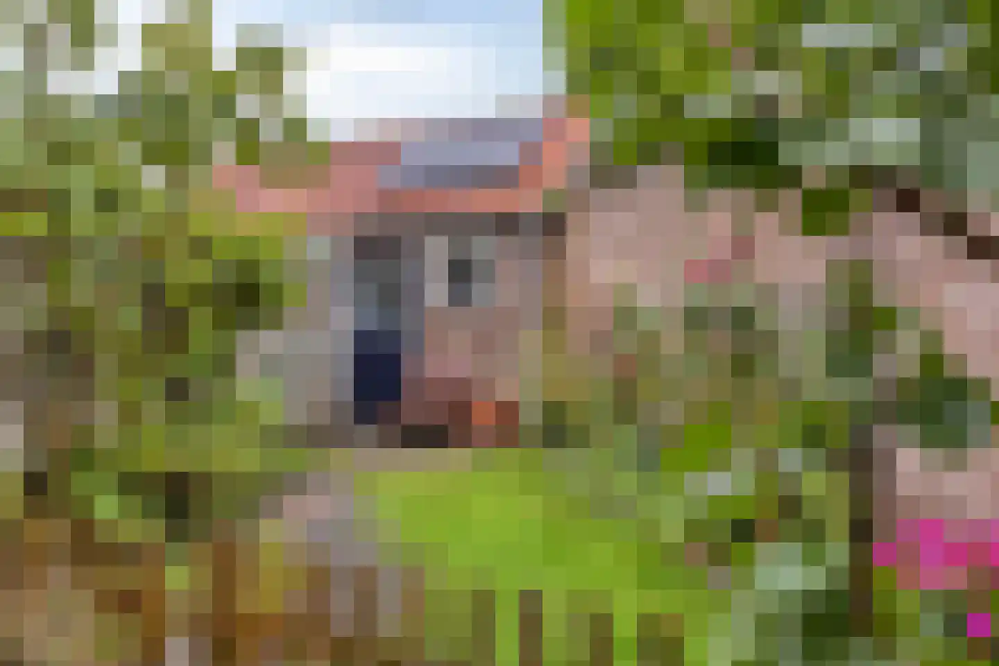 Ericastraat 43 Hilversum thumbnail 15