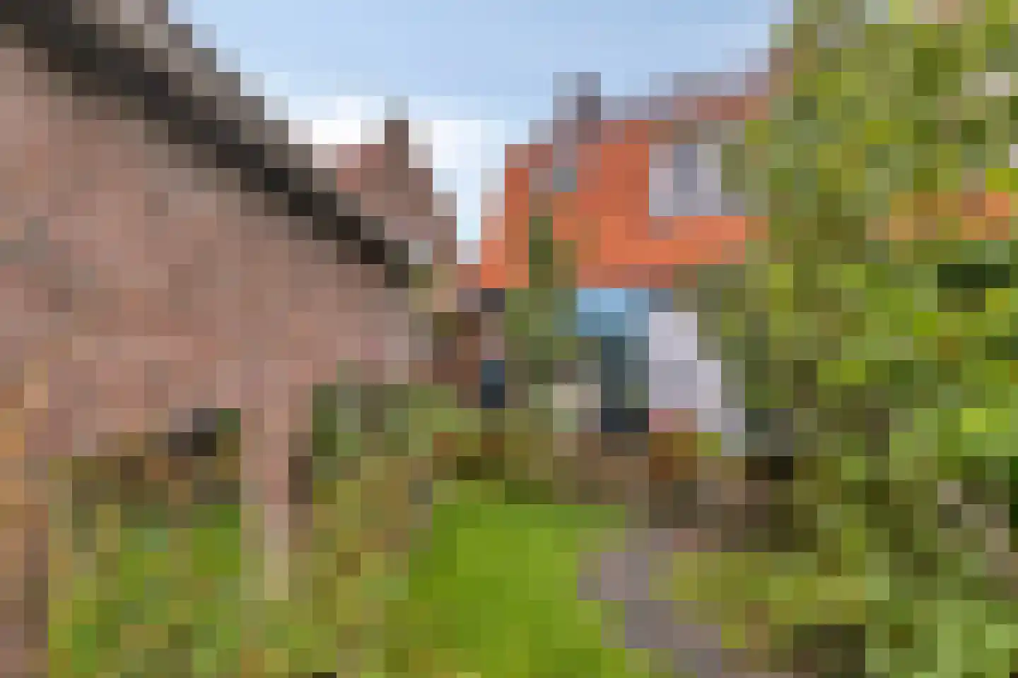 Ericastraat 43 Hilversum thumbnail 16