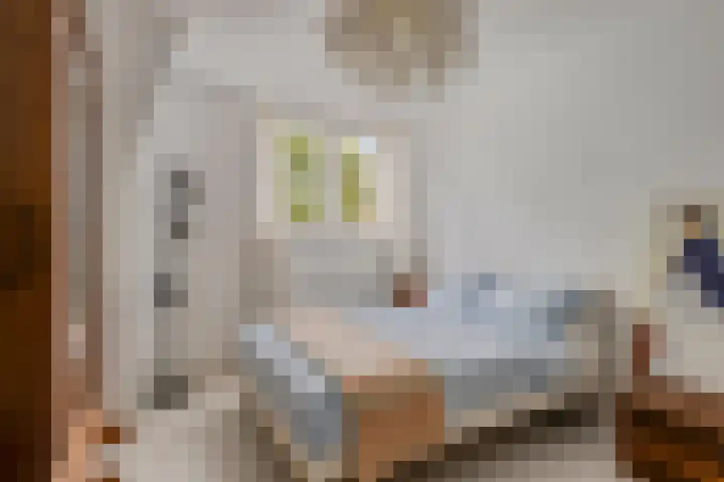 Ericastraat 43 Hilversum thumbnail 21