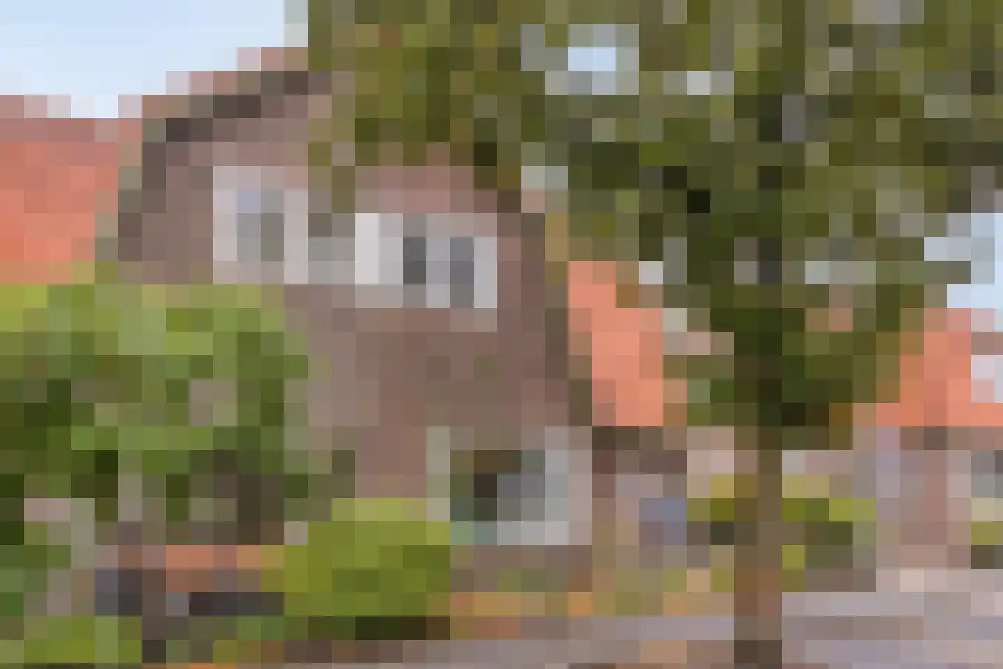 Ericastraat 43 Hilversum thumbnail 30
