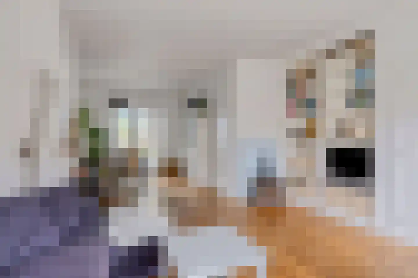 Ericastraat 43 Hilversum thumbnail 6