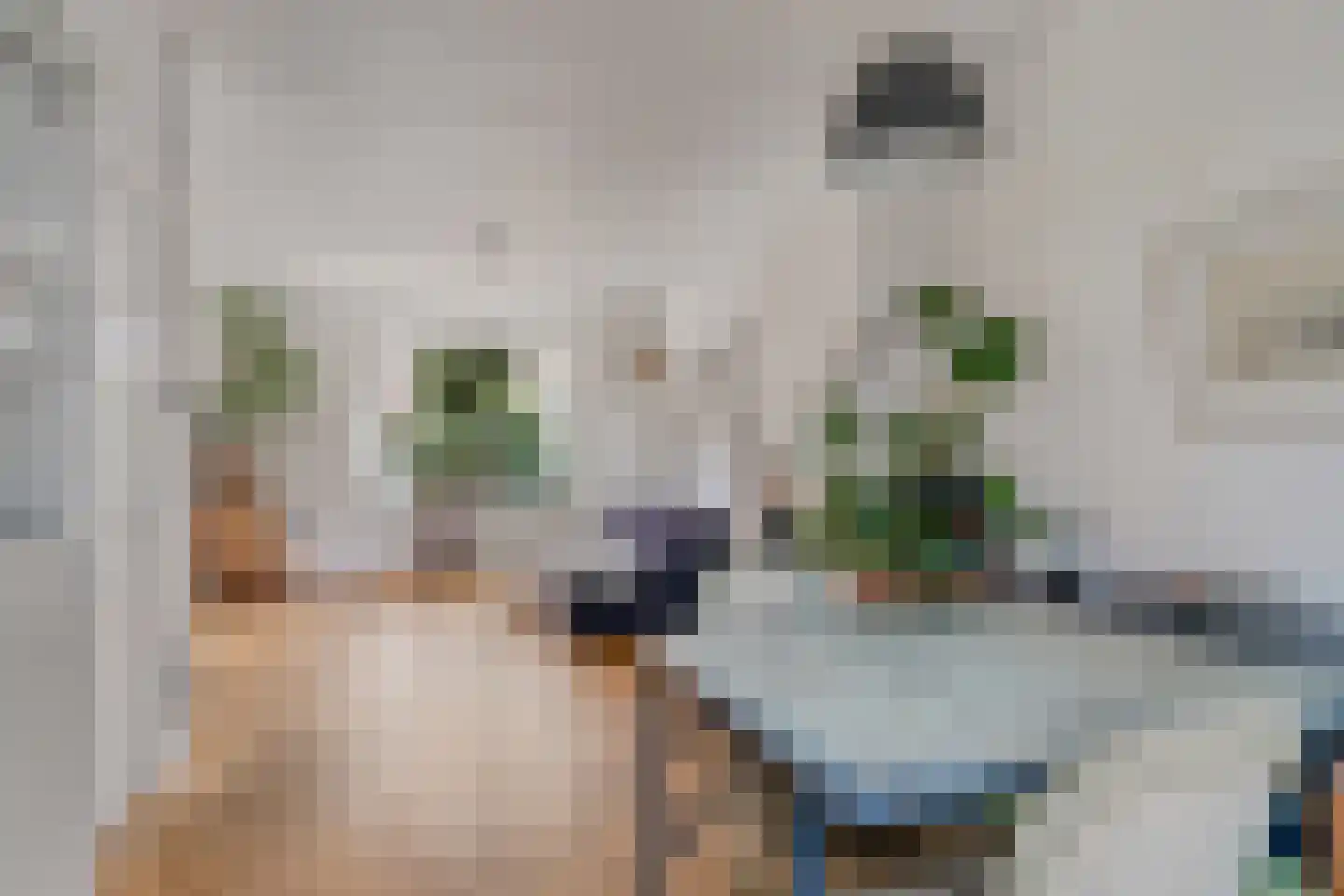 Ericastraat 43 Hilversum thumbnail 9