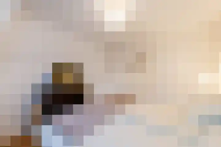 Ericastraat 46 Hilversum thumbnail 22