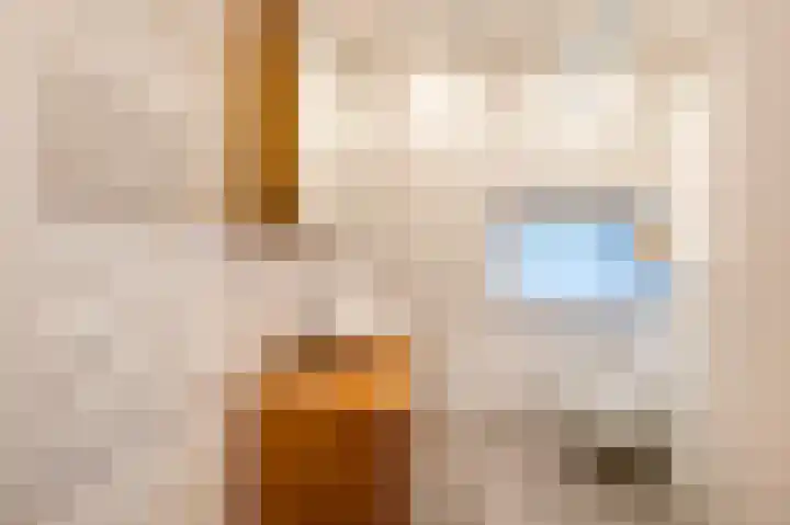 Ericastraat 46 Hilversum thumbnail 25