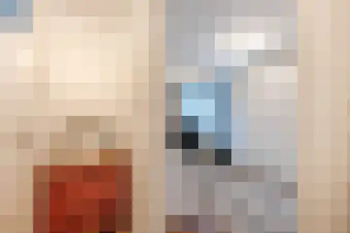 Ericastraat 46 Hilversum thumbnail 28