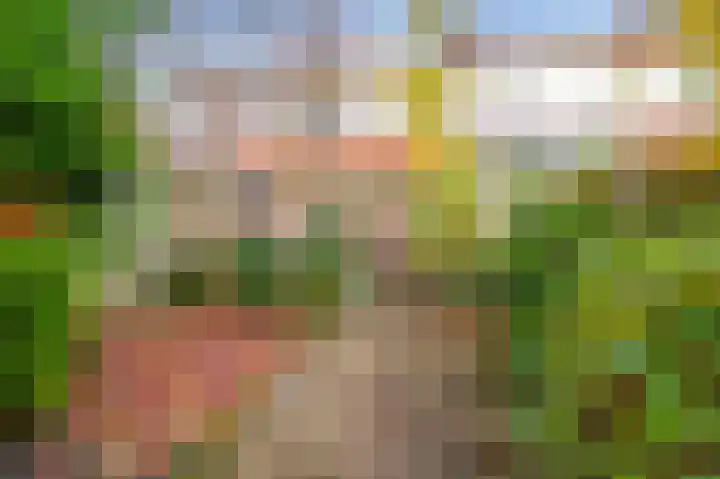 Ericastraat 46 Hilversum thumbnail 33