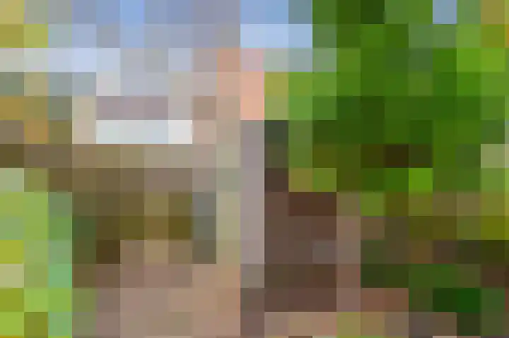 Ericastraat 46 Hilversum thumbnail 34