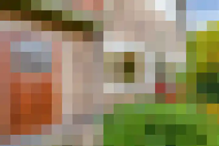 Ericastraat 46 Hilversum thumbnail 6