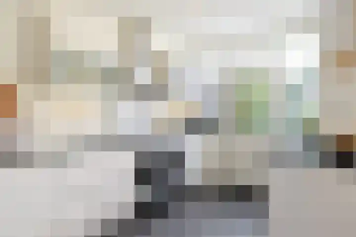 Ericastraat 5 Eindhoven thumbnail 14