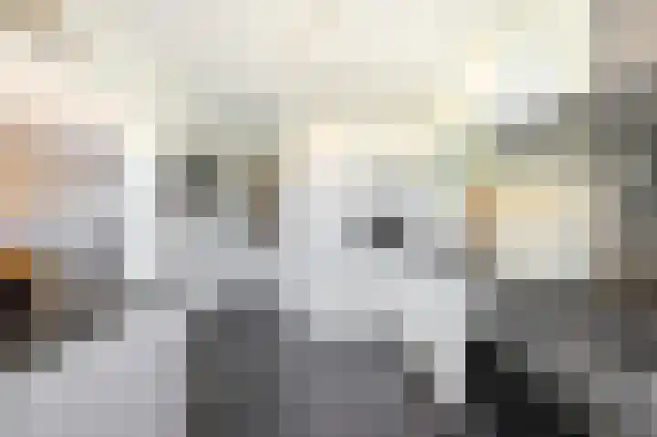 Ericastraat 5 Eindhoven thumbnail 17