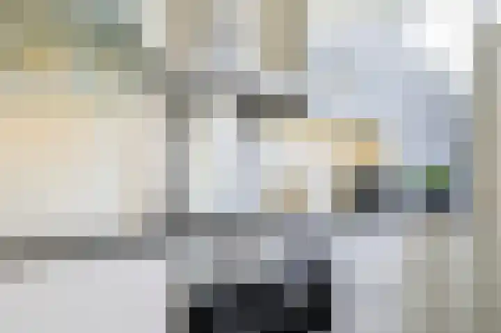 Ericastraat 5 Eindhoven thumbnail 20