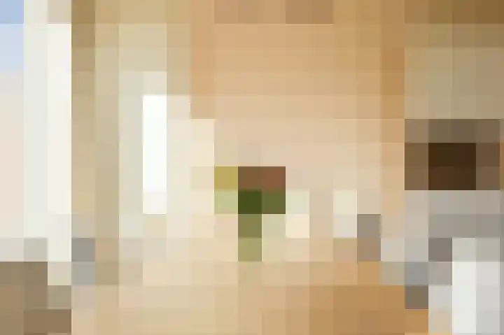 Ericastraat 5 Eindhoven thumbnail 23