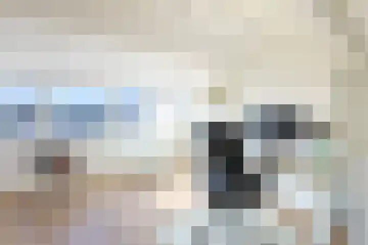 Ericastraat 5 Eindhoven thumbnail 45
