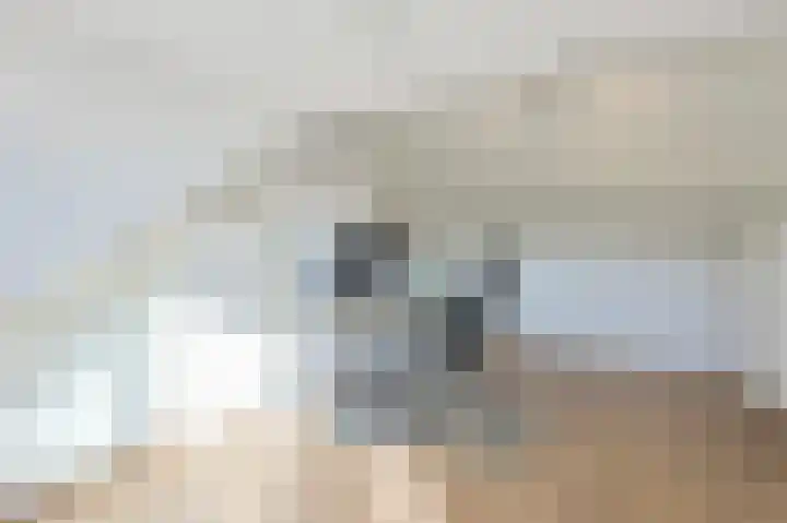 Ericastraat 5 Eindhoven thumbnail 47