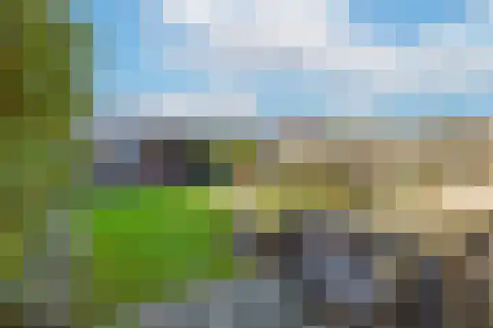 Ericastraat 5 Eindhoven thumbnail 50