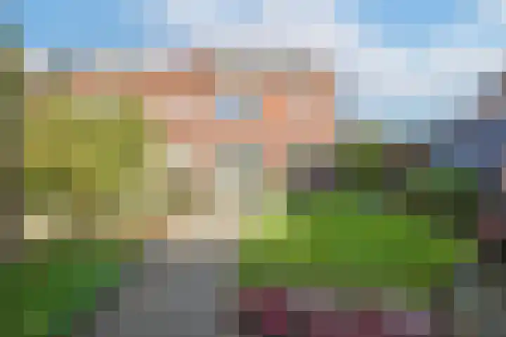 Ericastraat 5 Eindhoven thumbnail 51
