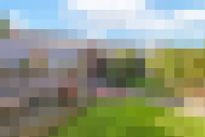 Ericastraat 5 Eindhoven thumbnail 55
