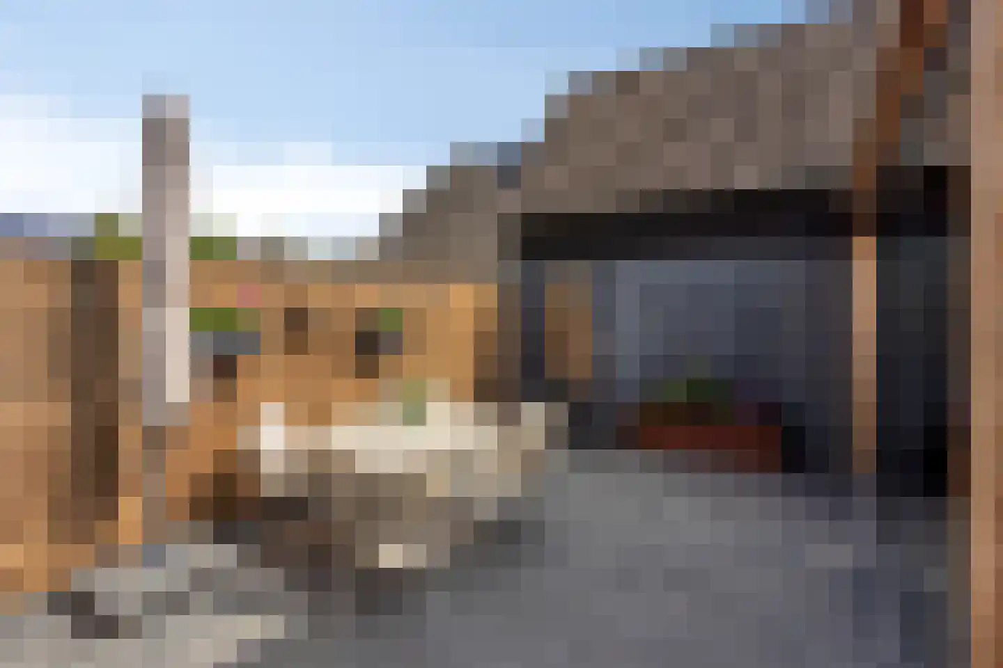 Ericastraat 56 Sint-Michielsgestel thumbnail 31