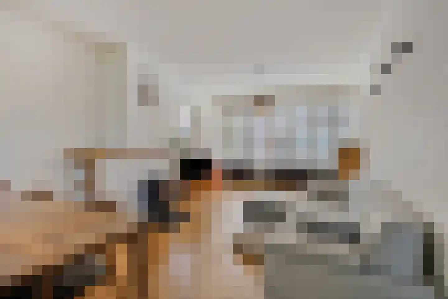 Ericastraat 6 Eindhoven thumbnail 11
