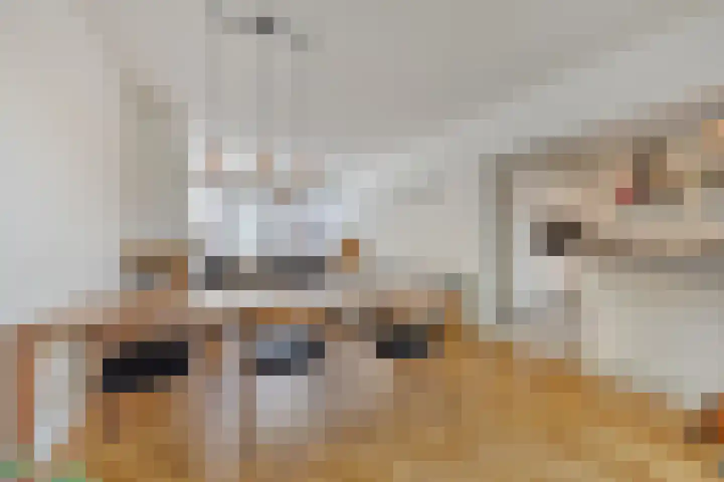 Ericastraat 6 Eindhoven thumbnail 13