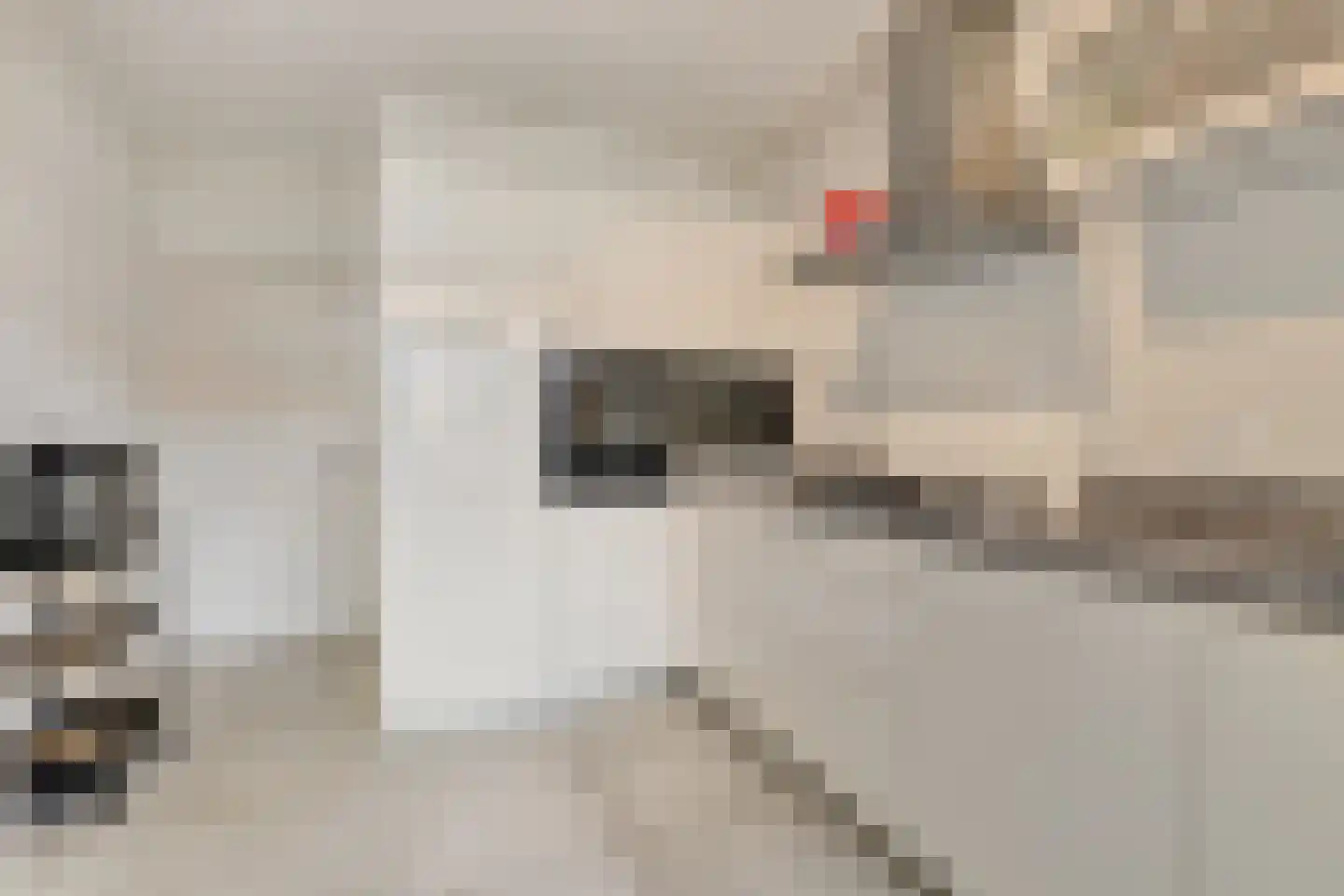 Ericastraat 6 Eindhoven thumbnail 16