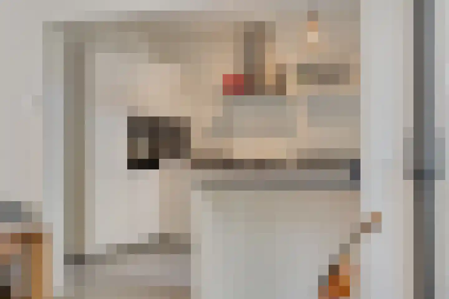 Ericastraat 6 Eindhoven thumbnail 18