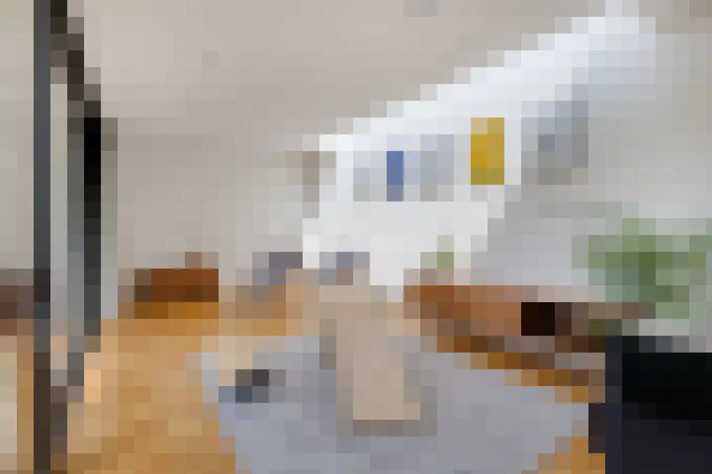 Ericastraat 6 Eindhoven thumbnail 20