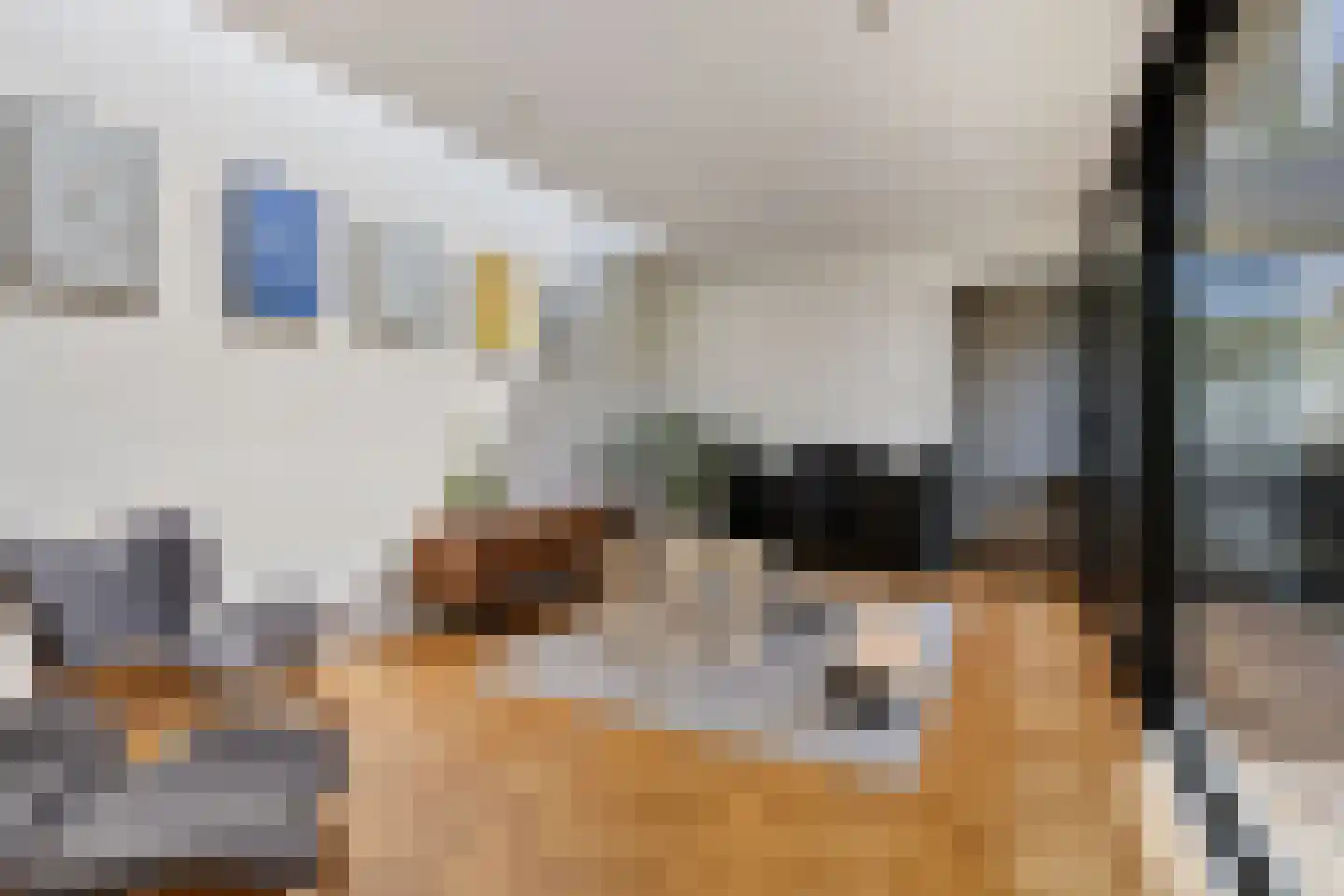 Ericastraat 6 Eindhoven thumbnail 22