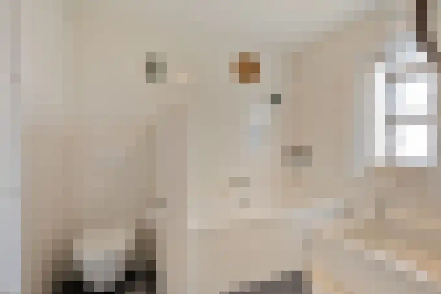 Ericastraat 6 Eindhoven thumbnail 33