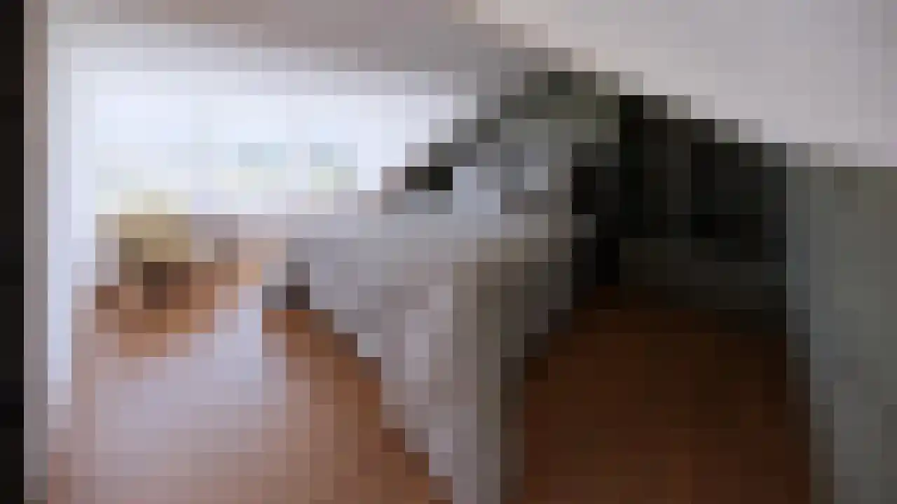 Ericastraat 6 Eindhoven thumbnail 41