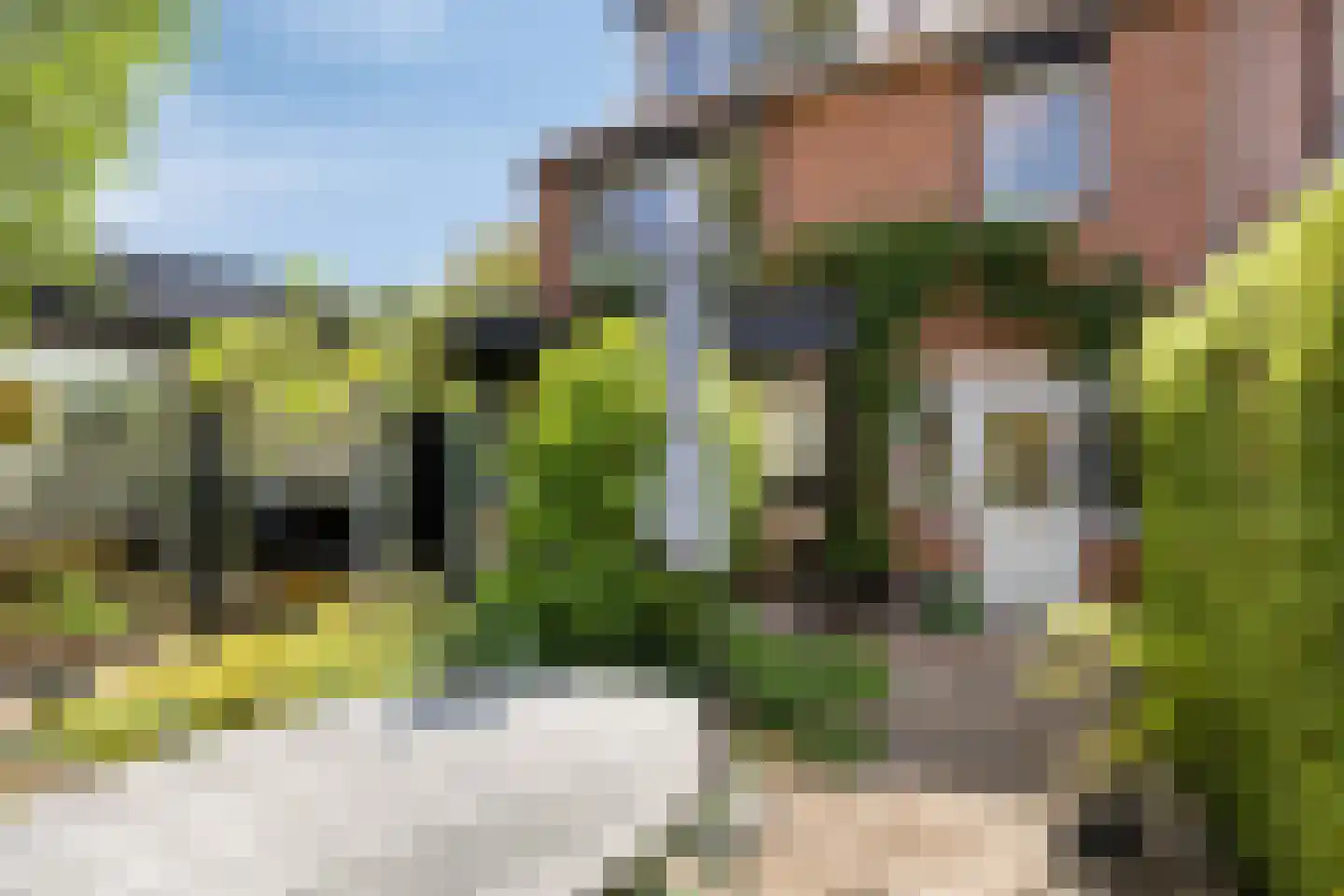 Ericastraat 6 Eindhoven thumbnail 43