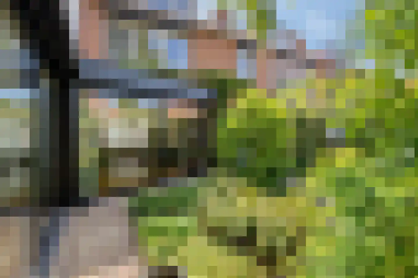 Ericastraat 6 Eindhoven thumbnail 44