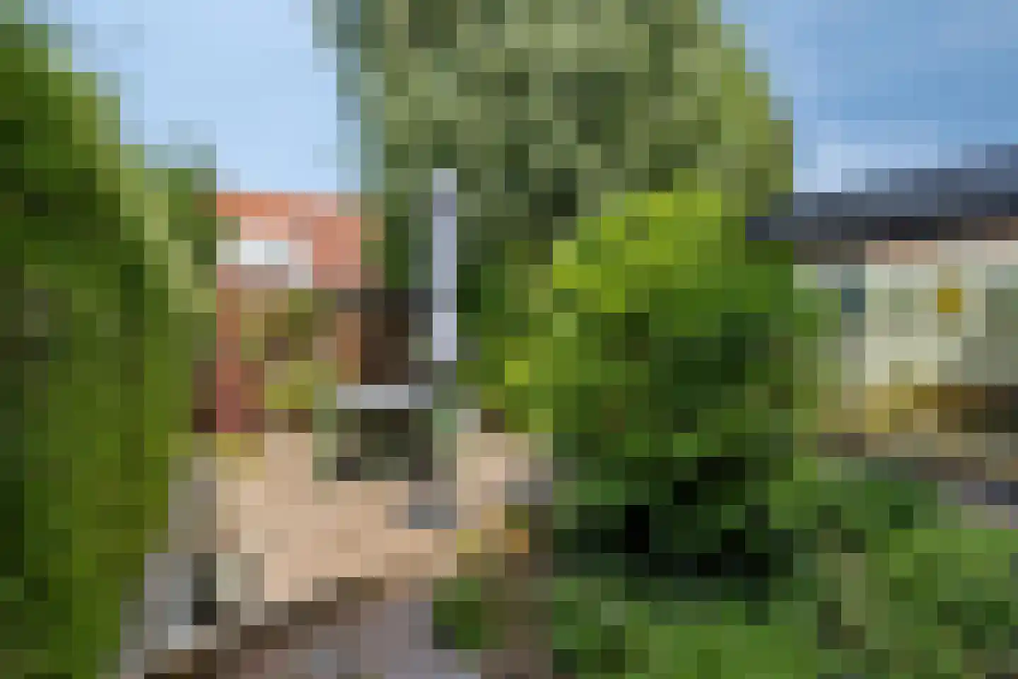 Ericastraat 6 Eindhoven thumbnail 45